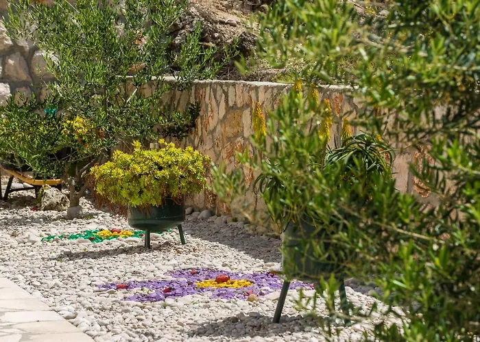 Matusic Guest House